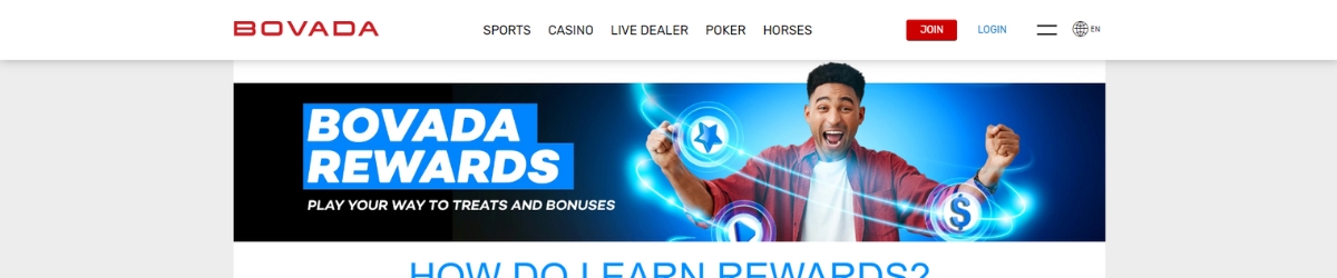 Bovada VIP Program