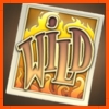 Wild Symbols