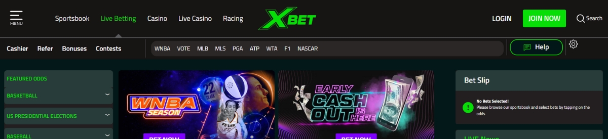 XBet live betting interface